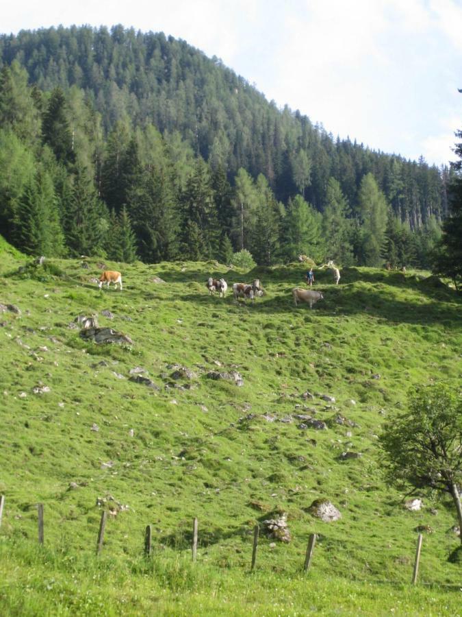 Pension Hedegghof Grossarl Εξωτερικό φωτογραφία